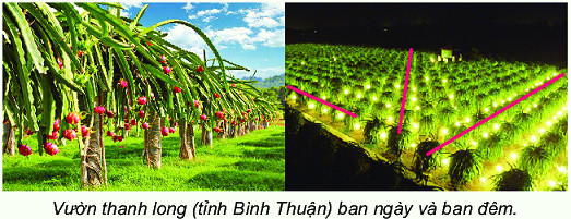Ba điểm thẳng hàng 12