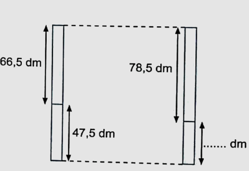 Bài 24: Luyện tập chung (tiết 1) trang 79 vở bài tập Toán 5 - Kết nối tri thức 2
