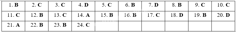 Đề cương ôn tập học kì 1 Toán 5 - Kết nối tri thức 7