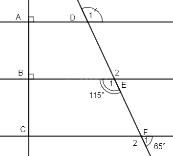 Đề cương ôn tập học kì 1 Toán 7 - Kết nối tri thức 25
