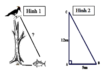 Đề cương ôn tập học kì 1 Toán 8 - Chân trời sáng tạo 9