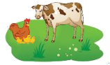 Đề kiểm tra học kì 1 Toán 3 Cánh diều - Đề số 6 2