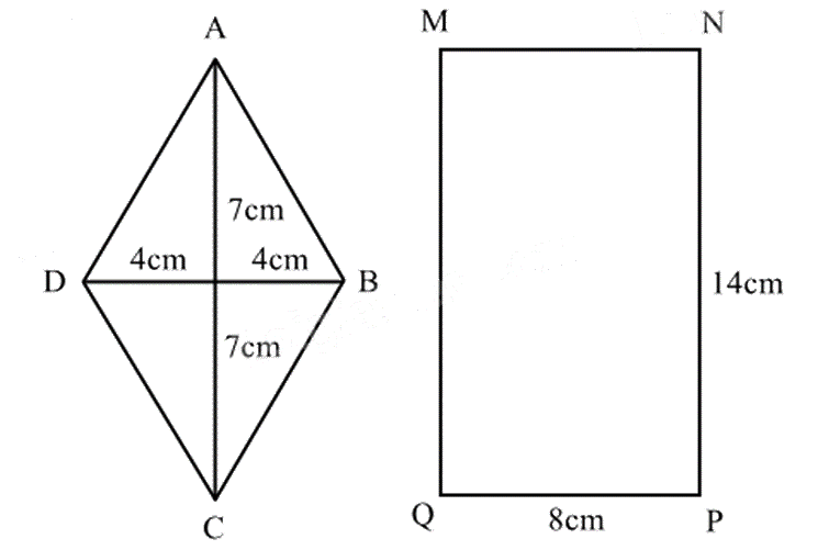 Đề thi giữa kì 1 Toán 6 - Đề số 18 0 7