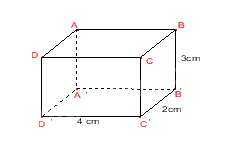 Đề thi giữa kì 1 Toán 7 - Đề số 7 7