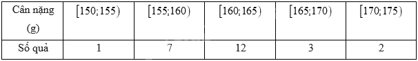 Đề thi học kì 1 Toán 11 Chân trời sáng tạo - Đề số 3 1 6