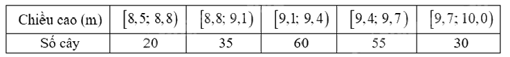 Đề thi học kì 1 Toán 12 Chân trời sáng tạo - Đề số 2 0 11