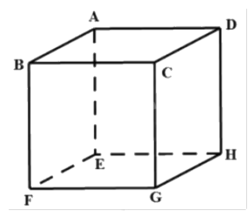 Đề thi học kì 1 Toán 12 Kết nối tri thức - Đề số 4 1 5