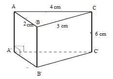 Đề thi học kì 1 Toán 7 - Đề số 4 - Chân trời sáng tạo 7