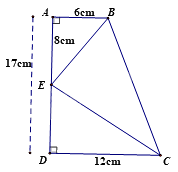 Đề thi học kì 2 Toán 8 - Đề số 5 - Kết nối tri thức 0 2