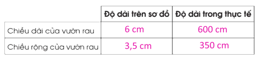 Giải bài 46: Luyện tập chung trang 114, 115, 116 vở bài tập Toán 5 - Cánh diều 9