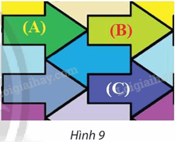 Giải bài 5 trang 14 Chuyên đề học tập Toán 11 Chân trời sáng tạo 1
