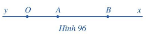Giải bài 6 trang 102 SGK Toán 6 Cánh diều 1