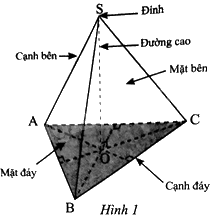 Giải bài 7 trang 45 sách bài tập toán 8 - Chân trời sáng tạo 3