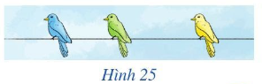 Giải bài 7 trang 79 SGK Toán 6 Cánh diều 1