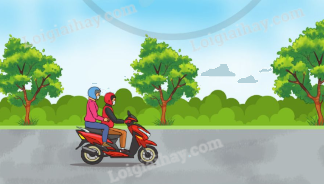 Giải bài 73: Luyện tập trang 69, 70 vở bài tập Toán 5 - Cánh diều 3