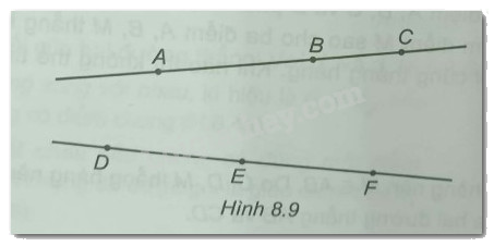 Giải Bài 8.9 trang 43 sách bài tập Toán 6 Kết nối tri thức với cuộc sống 1
