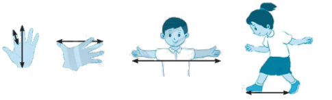 Giải bài: Đề-xi-mét (trang 33) Vở bài tập toán 2 - Chân trời sáng tạo 1 1