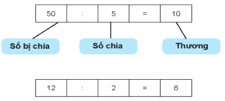 Giải bài: Ôn tập phép nhân và phép chia (trang 115) Vở bài tập toán 2 - Chân trời sáng tạo 5