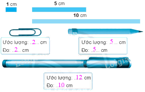 Giải bài: Thực hành và trải nghiệm (trang 81) VBT toán 2 - Chân trời sáng tạo 2