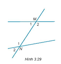 Giải Câu hỏi trắc nghiệm trang 47,48 sách bài tập Toán 7 Kết nối tri thức với cuộc sống 5 1