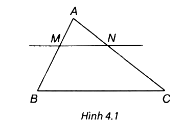 Giải câu hỏi trắc nghiệm trang 69 vở thực hành Toán 8 0 1