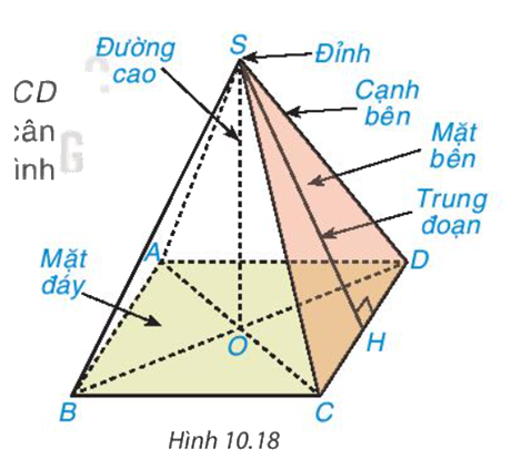 Giải mục 1 trang 117 SGK Toán 8 tập 2 - Kết nối tri thức 0 1
