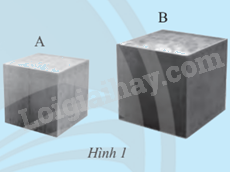 Giải mục 1 trang 42, 43 SGK Toán 9 tập 1 - Chân trời sáng tạo 1