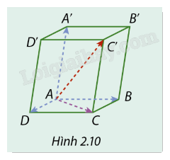 Giải mục 1 trang 55, 56, 57, 58 SGK Toán 12 tập 1 - Cùng khám phá 5