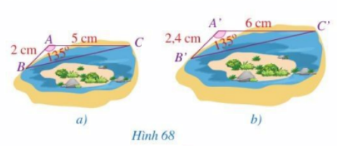 Giải mục 1 trang 79, 80 SGK Toán 8 – Cánh diều 1