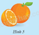 Giải mục 1 trang 93, 94, 95 SGK Toán 9 tập 2 - Chân trời sáng tạo 4