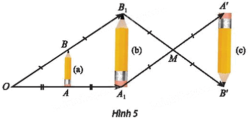 Giải mục 2 trang 39, 40 Chuyên đề học tập Toán 11 - Chân trời sáng tạo 2