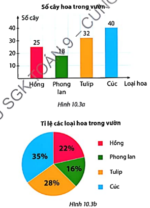 Giải mục 2 trang 90, 91, 92 SGK Toán 9 tập 2 - Cùng khám phá 6