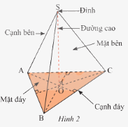 Lý thuyết Hình chóp tam giác đều - hình chóp tứ giác đều SGK Toán 8 - Cùng khám phá 1