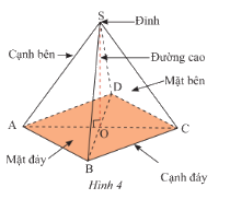 Lý thuyết Hình chóp tam giác đều - hình chóp tứ giác đều SGK Toán 8 - Cùng khám phá 2