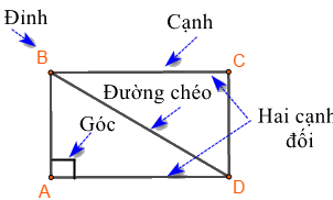 Lý thuyết Hình chữ nhật- Hình thoi- Hình bình hành- Hình thang cân Toán 6 Chân trời sáng tạo 1