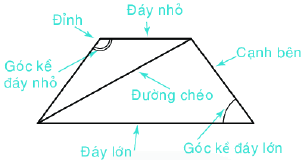 Lý thuyết Hình chữ nhật. Hình thoi. Hình bình hành. Hình thang cân Toán 6 KNTT với cuộc sống 7