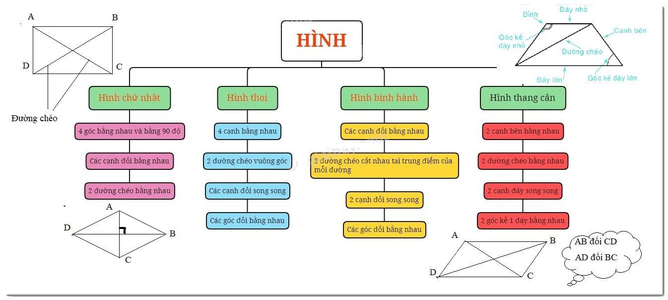 Lý thuyết Hình chữ nhật. Hình thoi. Hình bình hành. Hình thang cân Toán 6 KNTT với cuộc sống 10