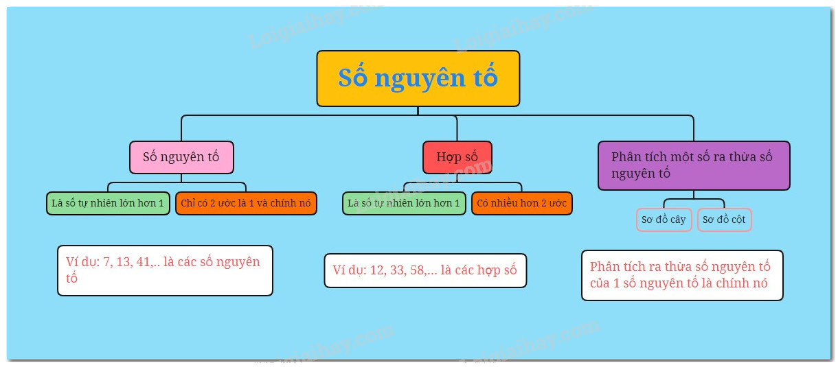 Lý thuyết Số nguyên tố Toán 6 KNTT với cuộc sống 2