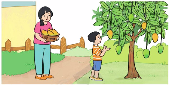 Ôn tập về phép cộng, phép trừ trong phạm vi 100 5