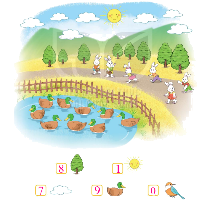 Toán lớp 1 trang 14 - Bài 2: Các số 6, 7, 8, 9, 10 - SGK Kết nối tri thức 13