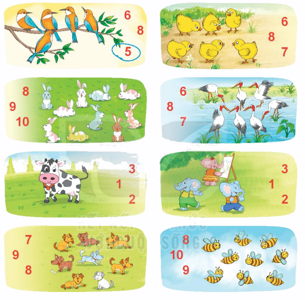 Toán lớp 1 trang 14 - Bài 2: Các số 6, 7, 8, 9, 10 - SGK Kết nối tri thức 14