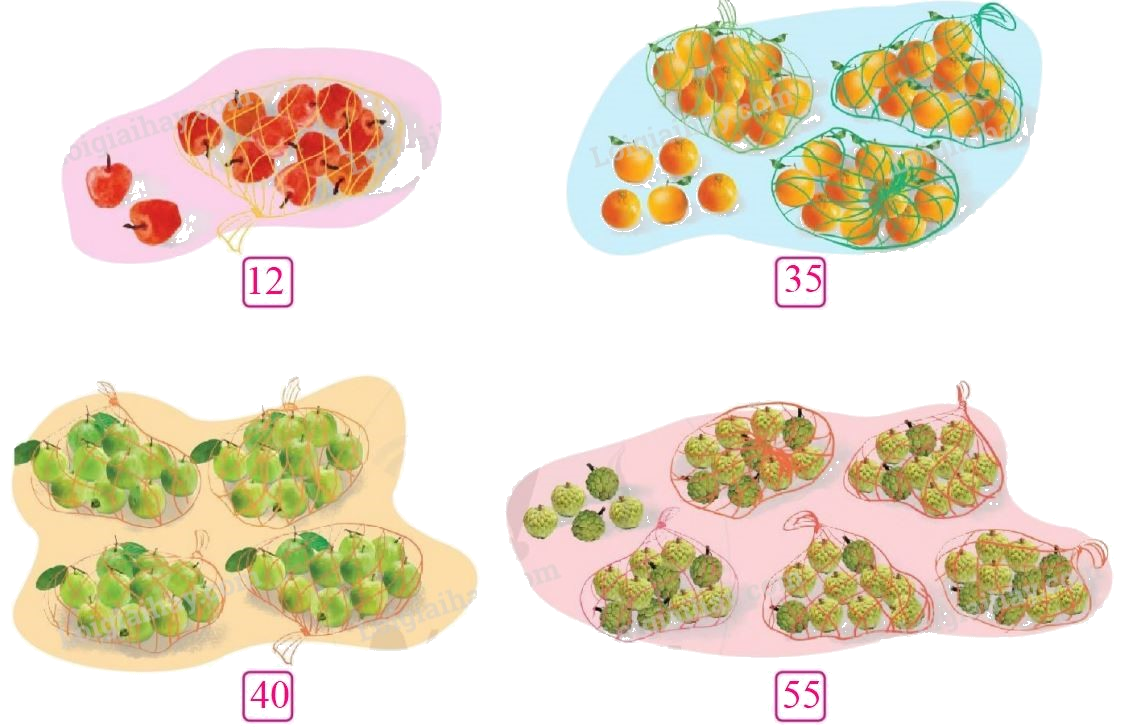 Toán lớp 1 trang 162 - Ôn tập các số trong phạm vi 100 - SGK Cánh diều 2