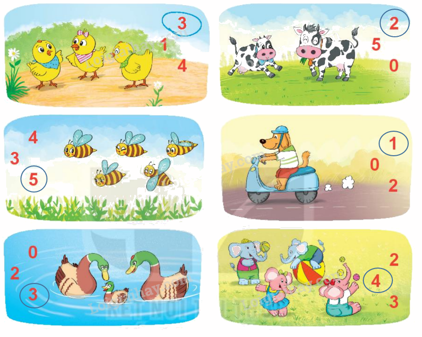 Toán lớp 1 trang 8 - Bài 1: Các số 0, 1, 2, 3, 4, 5 - SGK Kết nối tri thức 13