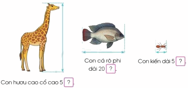 Toán lớp 3 trang 12 - Mi-li-mét - SGK Cánh diều 4