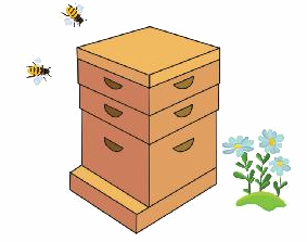 Toán lớp 3 trang 30 - Bài toán giải bằng hai bước tính - SGK Chân trời sáng tạo 3