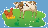 Toán lớp 3 trang 32 - Em làm được những gì - Sách giáo khoa Chân trời sáng tạo 4 1