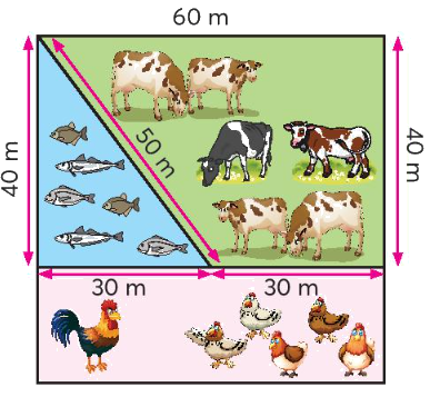 Toán lớp 3 trang 47 - Em làm được những gì - SGK Chân trời sáng tạo 6