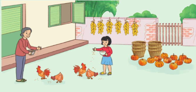 Toán lớp 3 trang 52 - Luyện tập - SGK Cánh diều 8