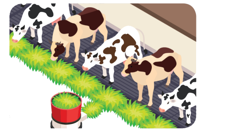 Toán lớp 3 trang 58 - Phép cộng các số trong phạm vi 100 000 - SGK Chân trời sáng tạo 6