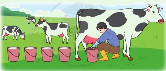 Toán lớp 3 trang 63 - Em ôn lại những gì đã học - SGK Cánh diều 9
